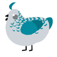A mist and sea chicken with a half-lace pattern