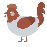 A mist and russet chicken with a head pattern