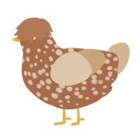 Toast, a brown and beige chicken with a speckle pattern