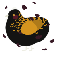A black and ochre chicken with a half-lace pattern