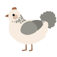 A cream and ash chicken with a neck-speckle pattern