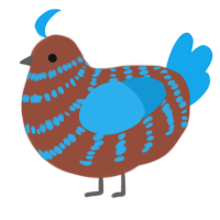 A russet and sky chicken with a bar pattern