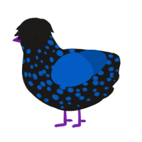 Cobalt, a sable and ultramarine chicken with a speckle pattern