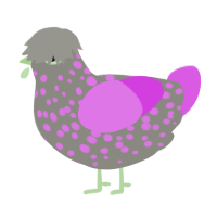 A ash and orchid chicken with a speckle pattern