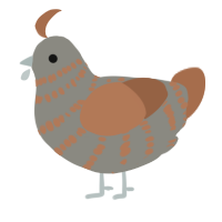 A ash and brown chicken with a bar pattern