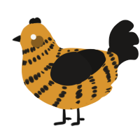 A orange and sable chicken with a bar pattern