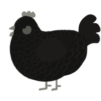 (unnamed), a black and sable chicken with a lace pattern