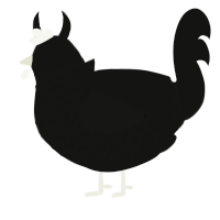 A black chicken with a lace pattern
