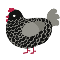 A black and ash chicken with a lace pattern