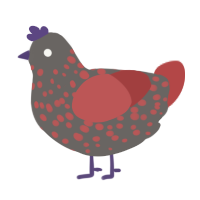 Ashes, a grey and red chicken with a speckle pattern