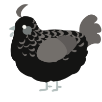 A black and grey chicken with a half-lace pattern