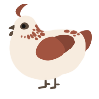 A cream and russet chicken with a neck-speckle pattern