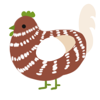 A russet and cream chicken with a bar pattern