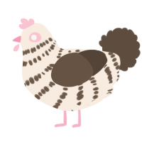 A cream and bark chicken with a bar pattern