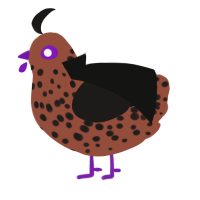 A russet and sable chicken with a speckle pattern