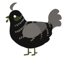 A black and grey chicken with a half-bar pattern