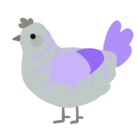 A silver and lilac chicken with a half-bar pattern