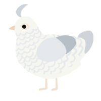 A white and mist chicken with a lace pattern
