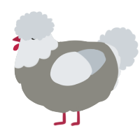 A ash and mist chicken with a head pattern