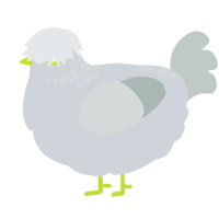 A mist and silver chicken with a neck-speckle pattern
