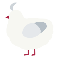 A white and mist chicken
