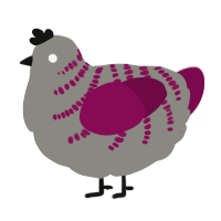 A ash and wine chicken with a half-bar pattern