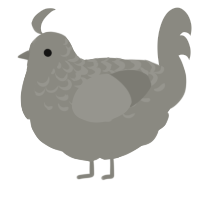 A ash chicken with a half-lace pattern