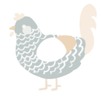 A silver and cream chicken with a lace pattern