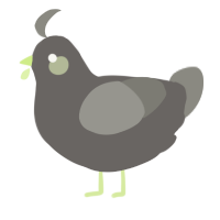 A grey and ash chicken