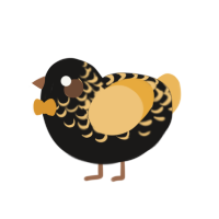 A sable and honey chicken with a half-lace pattern
