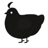 A black and sable chicken with a lace pattern