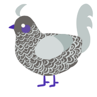 A grey and silver chicken with a double-lace pattern