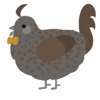 A grey and bark chicken with a speckle pattern