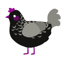 A black and ash chicken with a half-lace pattern
