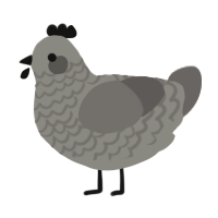 A ash and grey chicken with a lace pattern