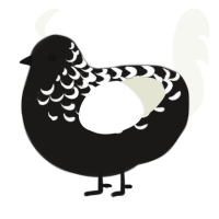 A sable and white chicken with a half-lace pattern