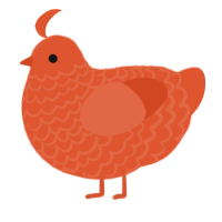 A vermilion chicken with a lace pattern
