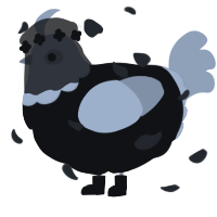 A black and spring chicken with a head pattern