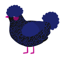 A black and navy chicken with a double-lace pattern