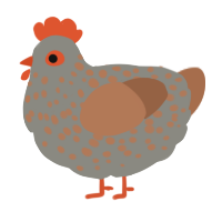 A ash and brown chicken with a speckle pattern