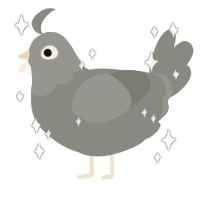 A ash chicken with a head pattern