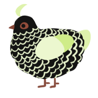 A black and apple chicken with a lace pattern