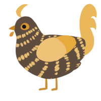 A bark and honey chicken with a bar pattern
