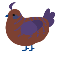 A russet and overcast chicken with a half-bar pattern