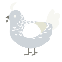 A mist and white chicken with a half-lace pattern