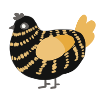 A black and honey chicken with a bar pattern