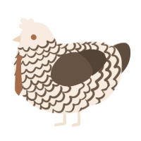 A cream and bark chicken with a lace pattern