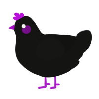A black chicken with a neck-speckle pattern