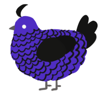 A indigo and black chicken with a lace pattern