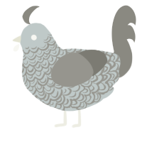 A silver and ash chicken with a double-lace pattern